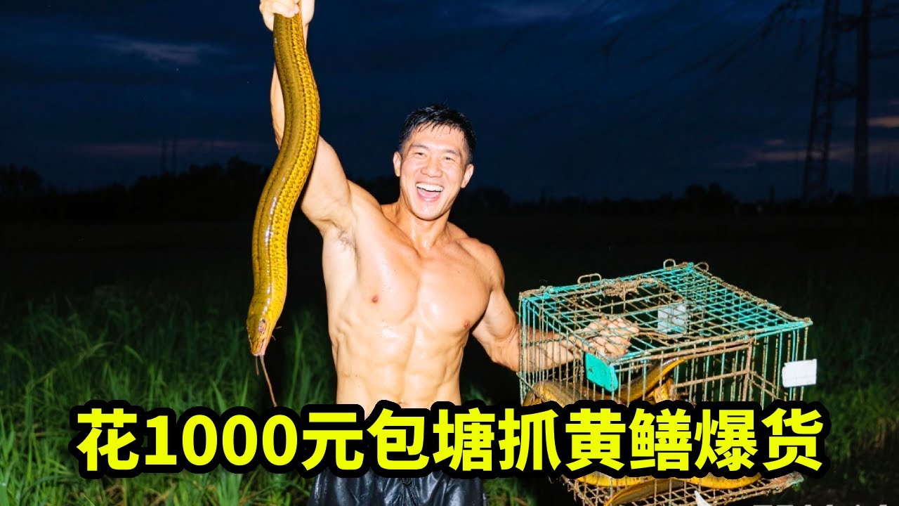 花1000元包塘抓黄鳝，抓到5斤就全额退款，没想到最后竟然爆桶！【黄凯户外生活】