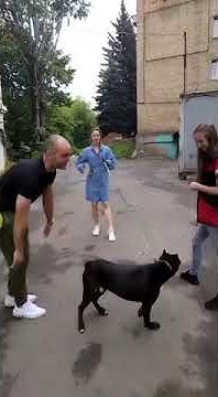 youtube.com
