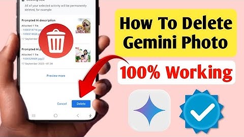 How To Delete Gemini Photo Delete Photos From Gemini | History DeleteGemini