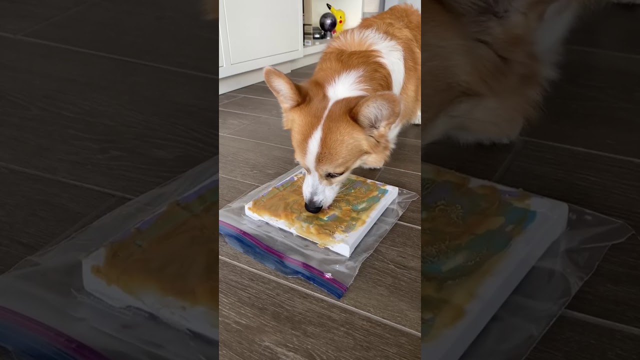 Dog Painting Challenge | Tofu the Corgi | 