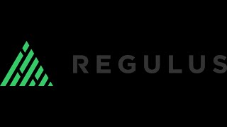 Regulus: Revolutionary Anti Drone Technology
