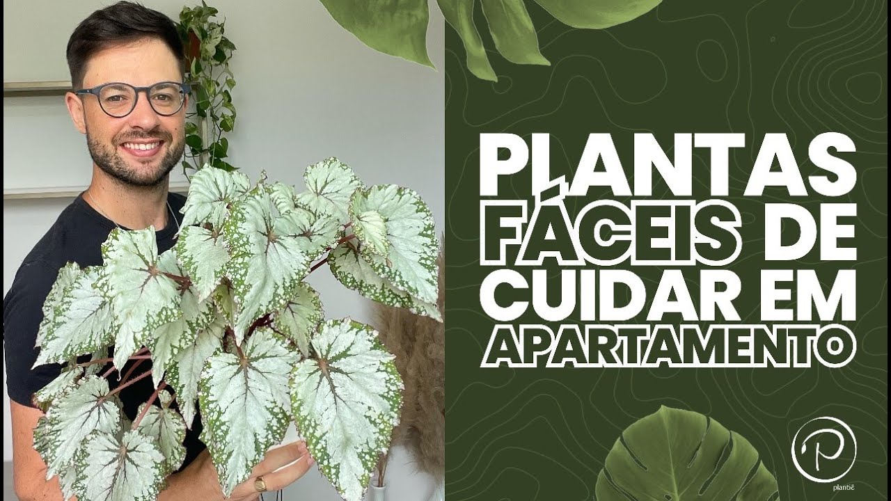 Plantas para Apartamentos: Guia Completo com a Plantiê em Caxias do Sul