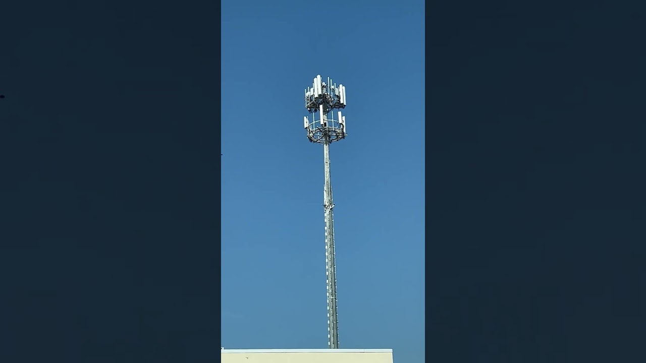 Birds Nests on a Cellphone Tower