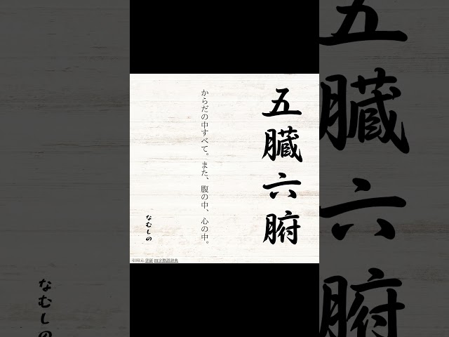 五臓六腑（ごぞうろっぷ）NEW!