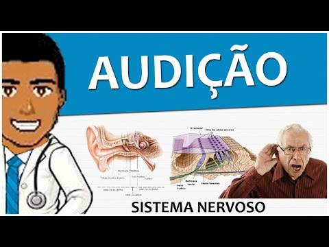 Vídeo: Órgão Da Audição - Estrutura, Funções, Doenças, Métodos De Tratamento