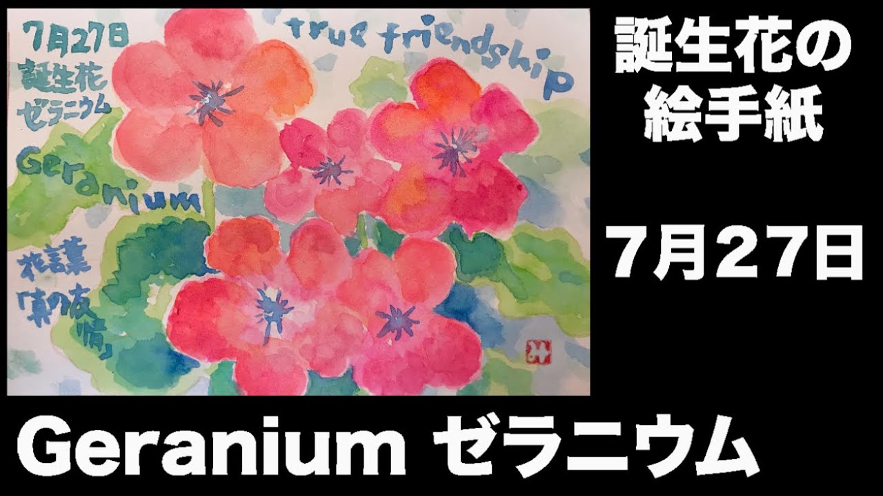 誕生花の絵手紙 7月27日 Geranium ゼラニウム Youtube