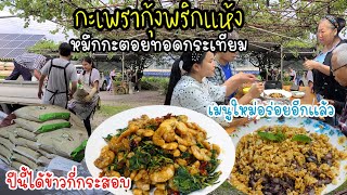 EP.572Fried Stir Basil Shrimp with dried chilli, With Fried Garlic Meka Squid.