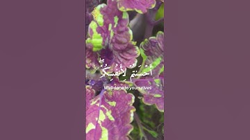 تلاوة خاشعة من سورة الإسراء آية 7 | الشيخ فارس عباد 🌙