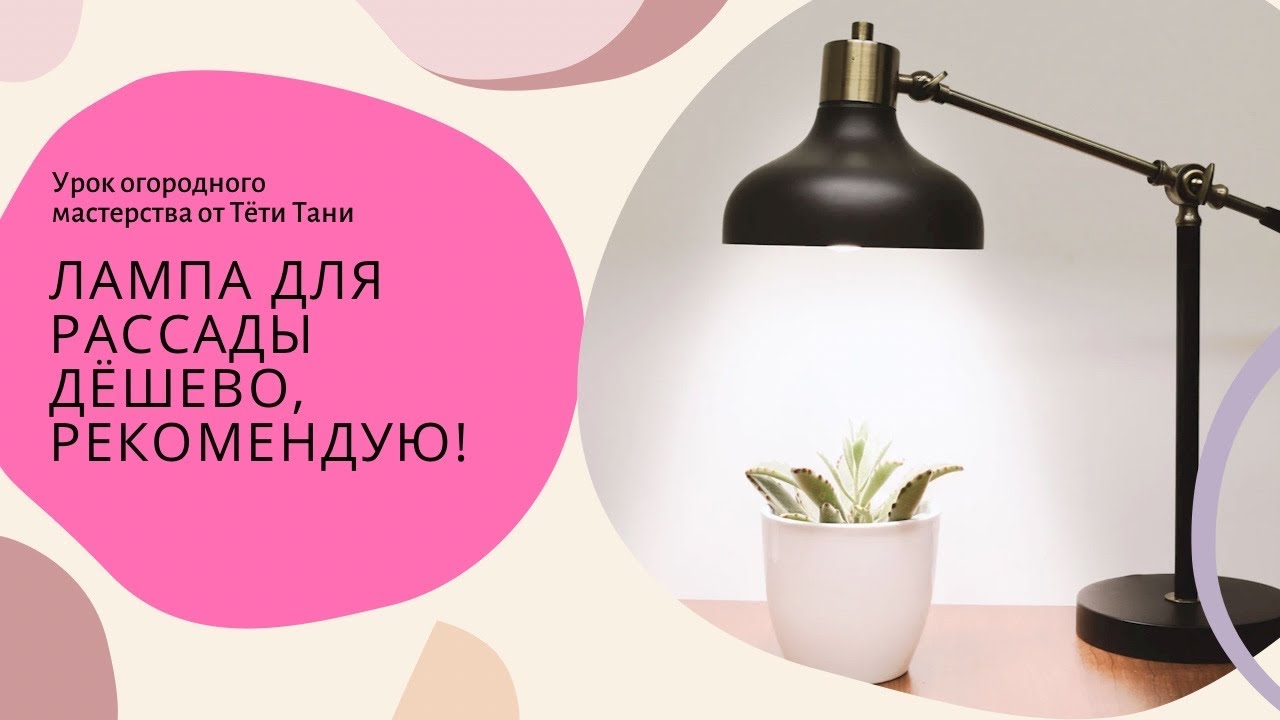 733. Лампа для рассады за 150 рублей. - YouTube