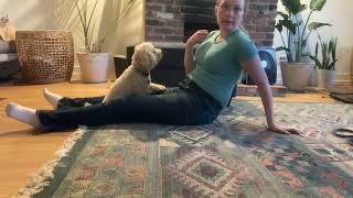 How to Teach Deep Pressure Therapy on the Chest (small dogs) for Service Dogs