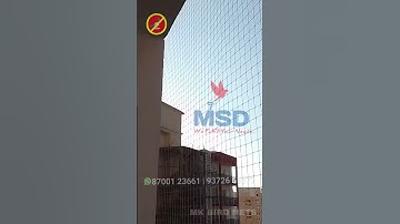 Top Bird Netting Service in Gurgaon || Professional Bird Control Solutions
