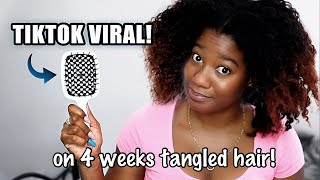 LIVE and REAL Reaction Trying This VIRAL Tiktok Brush on 4 WEEKS OLD TANGLED HAIR