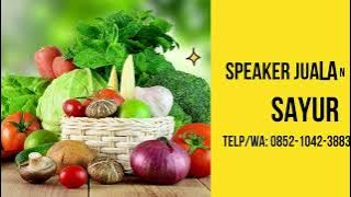 Ampli Toa Jualan Keliling, Speaker Pedagang Keliling sayur, TELP/WA 0852-1042-3883