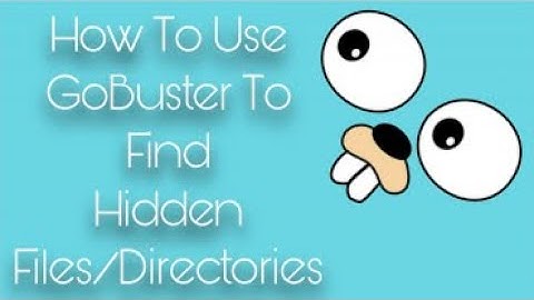 How To Use GoBuster To Find hidden Files | Directories  @prabhhacker5348 #gobuster