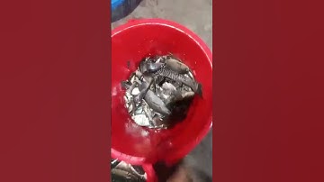 1 vợt thả cáp kéo côn kích cá điện hiện đại nhất hiện nay hút cá nổi đẹp#kichca #igbt #auto #lithium