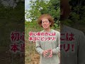 【朗報】山採りアオダモ79%オフキャンペーンが泣きの延長!!