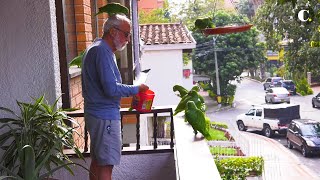 Guille, el encantador de loros de Laureles | El Colombiano