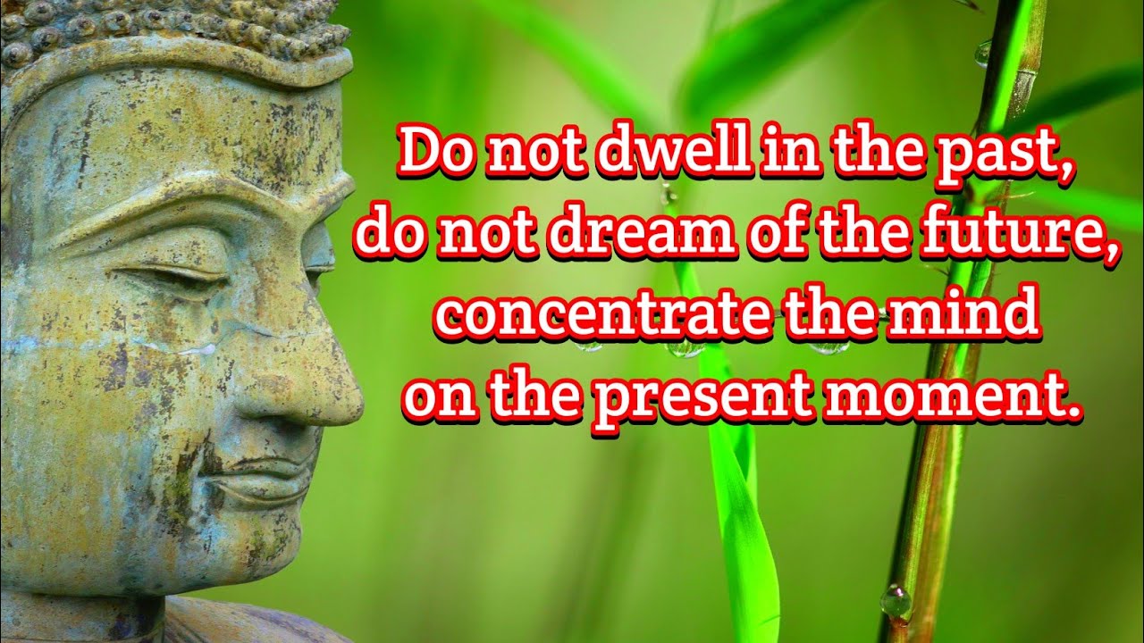 Do not dwell in the past | Buddha life changing quotes | Buddha Quotes ...