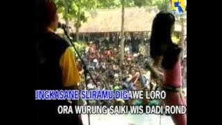sido rondo vivi rosalita palada rock dangdut