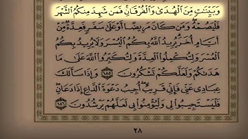 القارئ سعد التوم تلاوة  تشرح الصدر