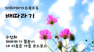 배따라기(수선회, 해바라기 꽃송이, 내 이름은 가을 코스모스)