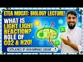 WHAT IS LIGHT  REACTION  ROLE OF CO2 AND H2O IN PHOTOSYNTHESISE  ETEA MDCAT FULL LECTURE 