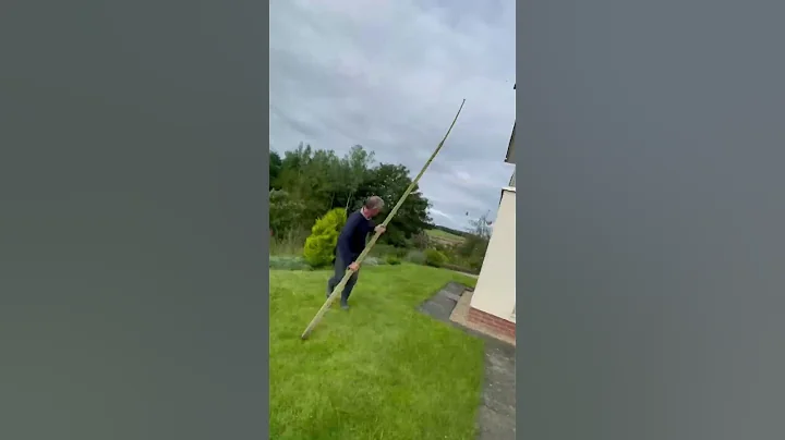 How to take down a wasp nest properly #country #countryside #awsome #experiment #cool #nature