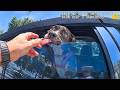 Officers Rescue Dog Locked in Nearly 130-Degree Car