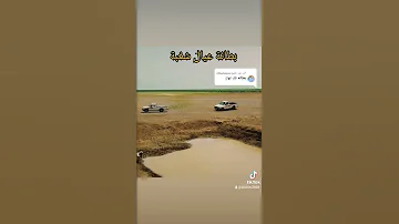 بطانة عيال شغبة 