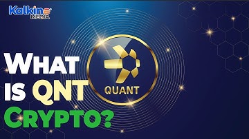 What Makes Quant QNT Crypto Unique?