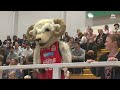 HIGHLIGHTS | Canterbury Rams vs Tauranga Whai | Sal's NBL Round 8 | Sky Sport NZ