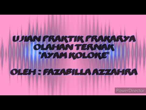 cara-membuat-ayam-koloke-simple,-praktis,-anti-gagal!!!
