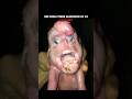 Humanoide?. Cerdo Mutante #youtube #animales #youtubeshorts #shorts