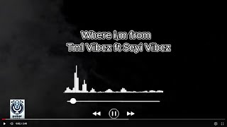 Celebrity Tml ft  Seyi Vibez  Where i'm from (karaoke) Profile