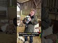 We have a name! And I made a mess up! #farming