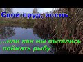 Свой пруд октябрь... или как мы пытались поймать рыбу. Часть 34 из серии &quot;Строим пруд в деревне&quot;.