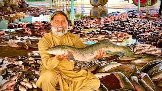 Biggest Fish Market 🎣 Pakistan Mein Sab Sy Bari Fish Market | Net Fishing in Pakistan | Mubarak Ali