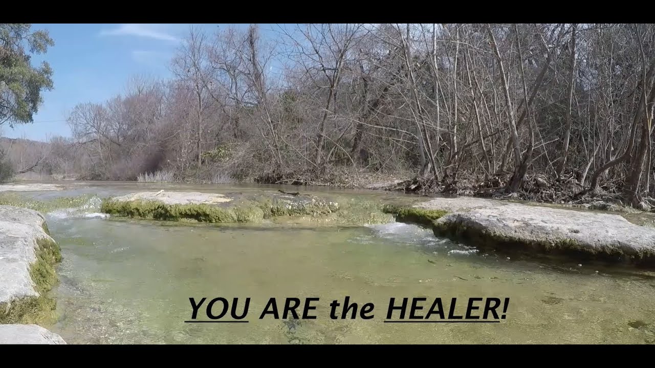 Cellular Repair & Optimization (Heal with Scalar Wave)