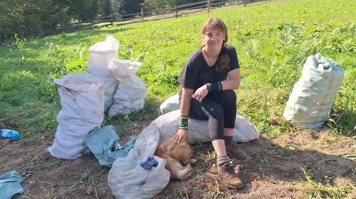 “The Brightest Moments of All Time — Watch It All! ✨”