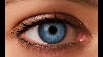 waving through a window but the first google images picture is shown for every word