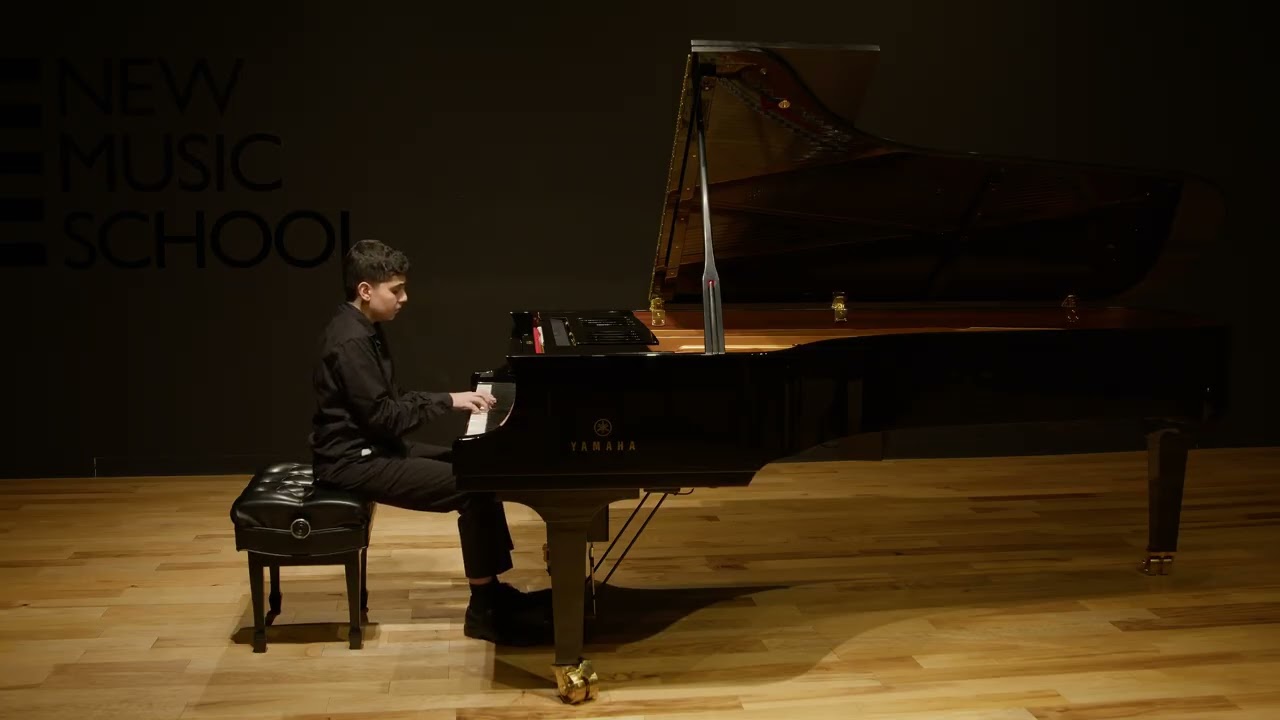 Scarlatti Sonata k.87 no 33 in b minor performed by Daniel Razminia 