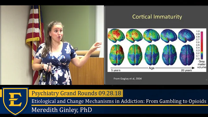 "Etiological and Change Mechanisms in Addiction: From Gambling to Opioids", Meridith Ginley, PhD