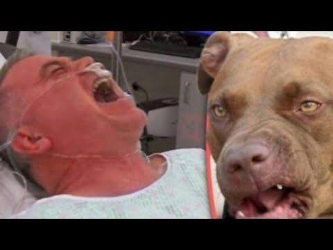 Video: Pit Bulls jsou jednotlivci a ne plemeno