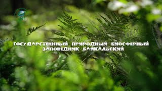 «Заповедное ожерелье Байкала». Байкальский государственный природный биосферный заповедник