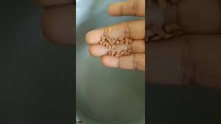 சிறுபயறு கஞ்சி & தேங்காய் துவையல்#shortsviral #coconut#fenugreek#shortsfeed #cooking#food#recipe