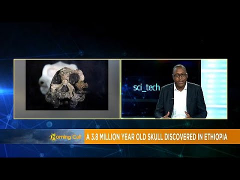 3.8 million years old skull discovered in Ethiopia - YouTube