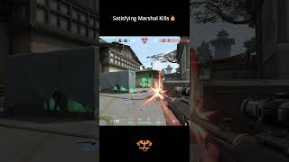 Satisfying Marshal Kills 😮‍🔥🎯