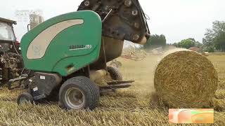 [三农长短说]长关注·抢手！小麦秸秆用途多 秸秆换牛粪 种养殖户皆大欢喜|农业致富经 Agriculture And Farming