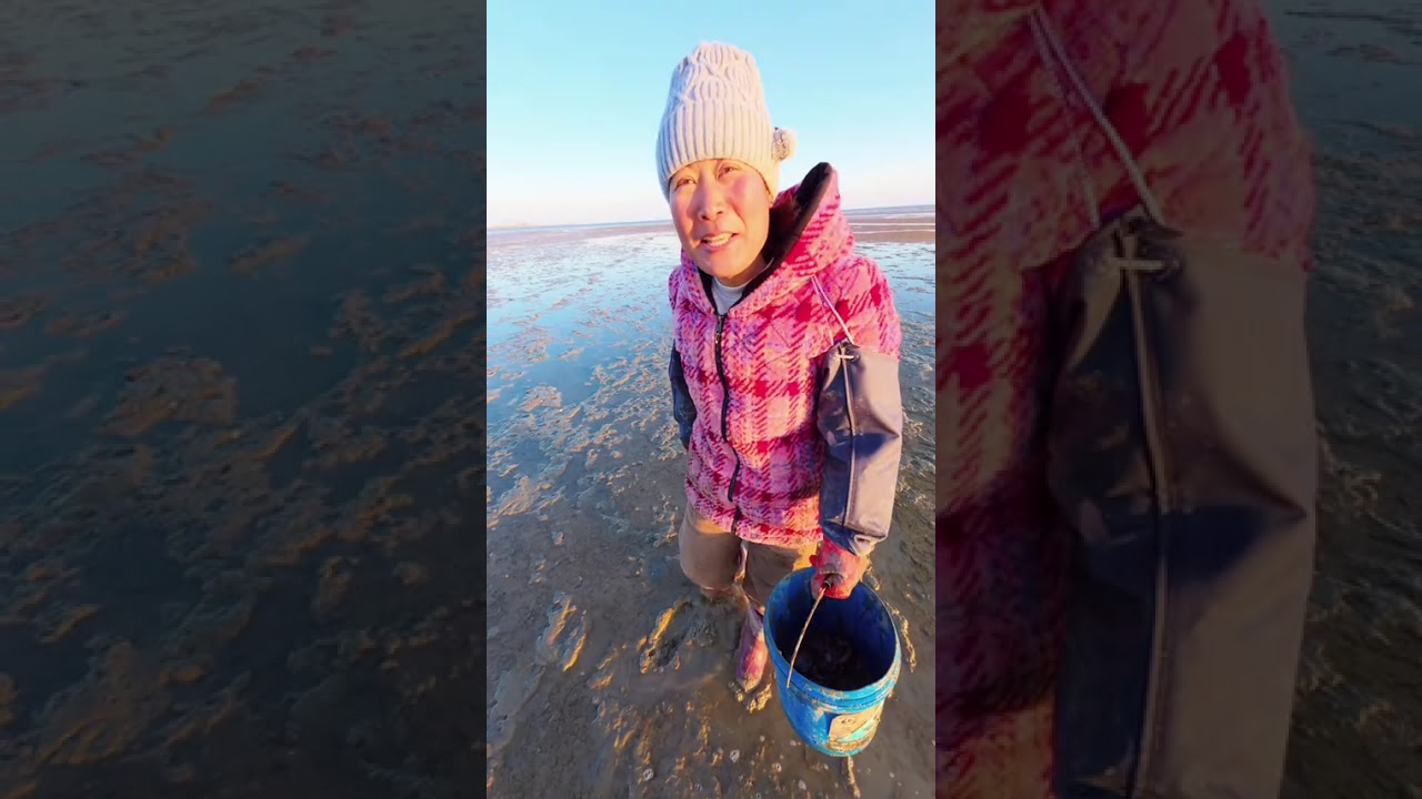 Today I went beachcombing at sunrise. I followed my mom who is known as the bulldozer of t