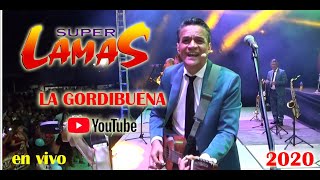 Super Lamas La Gordibuena En Vivo